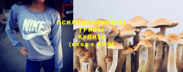 амф Балабаново