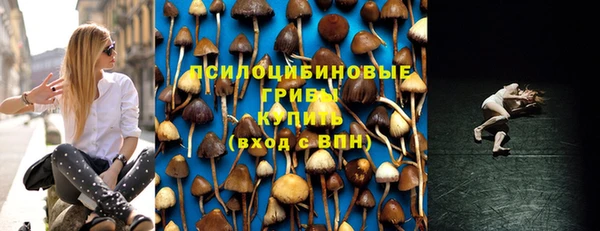 ALPHA PVP Армянск