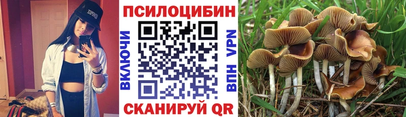 Псилоцибиновые грибы мицелий  ОМГ ОМГ как войти  Коряжма 